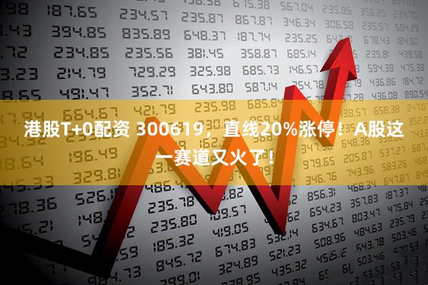 港股T+0配资 300619，直线20%涨停！A股这一赛道又火了！
