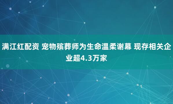 满江红配资 宠物殡葬师为生命温柔谢幕 现存相关企业超4.3万家
