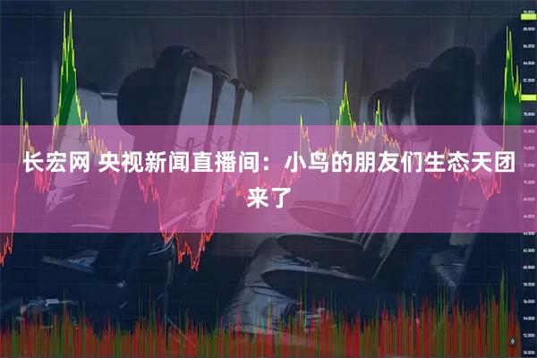 长宏网 央视新闻直播间：小鸟的朋友们生态天团来了