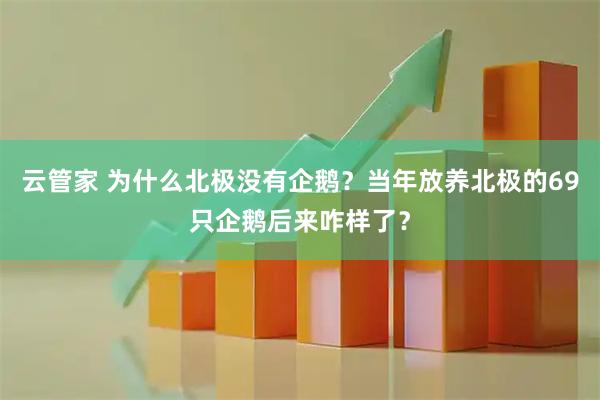 云管家 为什么北极没有企鹅？当年放养北极的69只企鹅后来咋样了？